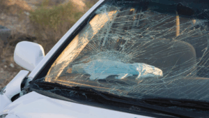 One Dead, Another in Critical Condition After High-Speed Spring Valley Crash